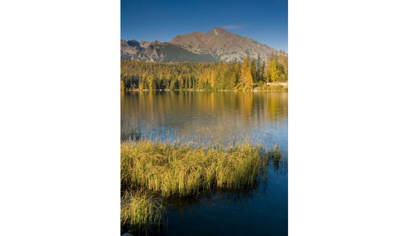 Hotel CROCUS **** Vysoké Tatry